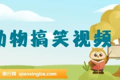 AI一键生成原创动物搞笑视频，轻松日入1000+