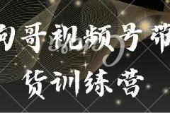 狗哥视频号带货训练营