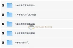 陈心 小学语文满分作文课