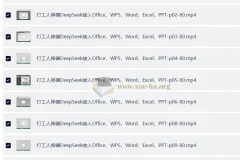 DeepSeek接入Office、WPS、Word、Excel、PPT 打工人神器