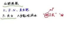 2024清越姐姐高三化学选修一系统课+酸碱盐专题