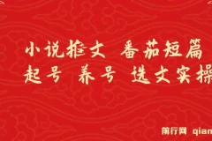 小说推文 番茄短篇 起号 养号 选文实操