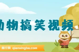 AI一键生成原创动物搞笑视频，轻松日入1000+