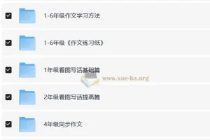 陈心 小学语文满分作文课