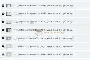 DeepSeek接入Office、WPS、Word、Excel、PPT 打工人神器