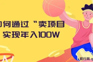 2024年如何通过“卖项目”实现年入100W