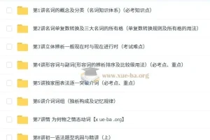 刘飞飞 初中英语 初一初二初三语法大全