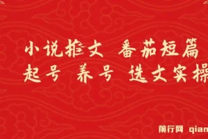 小说推文 番茄短篇 起号 养号 选文实操