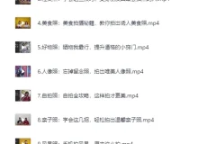 《B站付费课程：手机摄影原来这么拍》[MP4][3G]