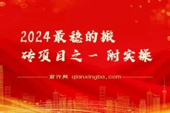 2024最稳的搬砖项目之一 附实操