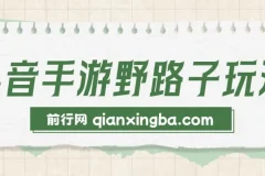 抖音手游野路子玩法，单视频收益4000+，日入几千轻轻松松