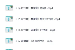 《英语零基础直达口语流利》B站付费课程 -来自美国的周树华