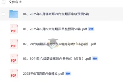 2025大学英语 四六级考试冲刺 四六级翻译预测
