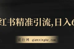小红书精准引流，小白日入600+，轻松实现副业经济自由（教程+1153G资源）