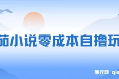 番茄小说零成本自撸玩法，每天1000+，不看播放量，不看视频质量