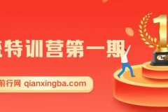引流特训营第一期，引流课是什么？引流推广怎么做