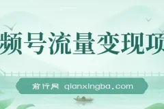 视频号流量变现，每天几分钟，收入100+，真正的小而美项目