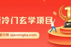 最新冷门玄学项目，零成本一单268，轻松日入1000＋