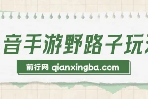 抖音手游野路子玩法，单视频收益4000+，日入几千轻轻松松