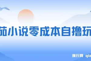 番茄小说零成本自撸玩法，每天1000+，不看播放量，不看视频质量