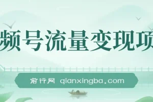 视频号流量变现，每天几分钟，收入100+，真正的小而美项目