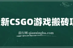 最新冷门游戏搬砖项目，小白零基础也可以月入过万（附教程+软件）