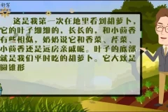 云舒写小学3-4年级写作素材课程(第二期)