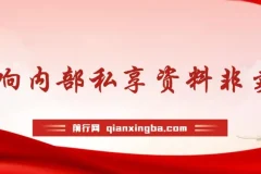 群响流量黄宝书25-29期，群响内部私享资料非卖品