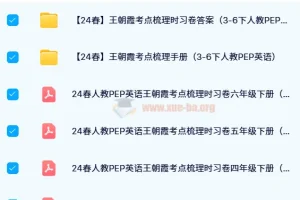 【24春】王朝霞考点梳理时习卷（3-6下人教PEP 小学英语）