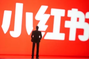 小红书养号秘籍，如何自动涨粉清晰系统标签打造高权重账号