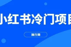 小红书冷门项目，3分钟一个原创作品，软件生成文字动画视频，轻松日入500+