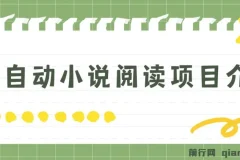 全自动小说阅读，纯脚本运营，可批量操作，时间自由，小白轻易上手