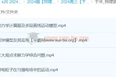 2024高三高考物理 于冲 第四阶段 第五阶段