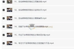 付峰老师家庭教育课程 学霸养成计划