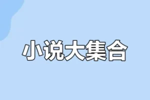 【知轩藏书网站·小说大合集（稀有资源）】