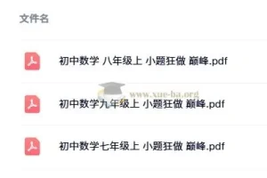 小题狂做 巅峰版数学苏科版7-9年级上册