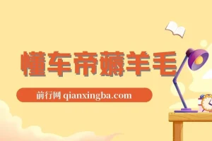 懂车帝薅羊毛，单号最高165元，羊毛项目，搬运就行