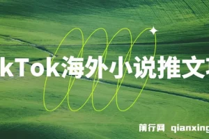 TikTok海外小说推文项目，榜一爆单秘籍分享，日入几千刀