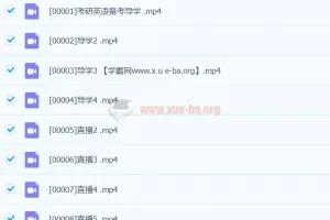琦哥英语琦哥课程三套合集