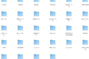 《大热小说作者超大合集》[txt]