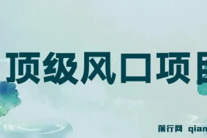 小红书卖法考虚拟资料，无脑搬运一天收入1000+,8月法考顶级风口项目，
