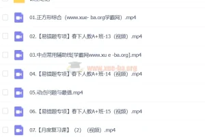 李爽数学 2024 初二数学 A+春季班下