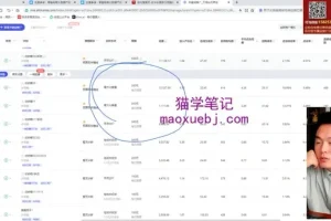 淘宝虚拟品爆款实战课：选品+付费推广+规避违规