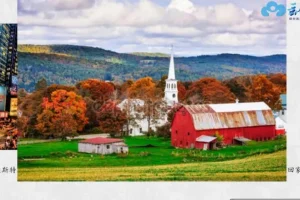 云舒写大语文：1-11年级名著导读视频全集