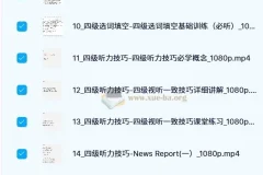 邹老师 大学英语 四级 听阅精品课程 187节