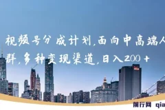 视频号分成计划，面向中高端人群，多种变现渠道，日入200＋