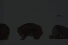 小奇绘本故事大全（高清1080P+PDF）