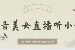 抖音美女直播听小说，每日轻松变现3500+，多重防违规操作，保姆教程