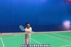 迪迪王羽毛球38节假动作实战课：前场中场后场全解析