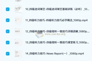 邹老师 大学英语 四级 听阅精品课程 187节